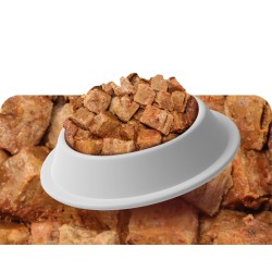 copy of Agnello Menu Completo